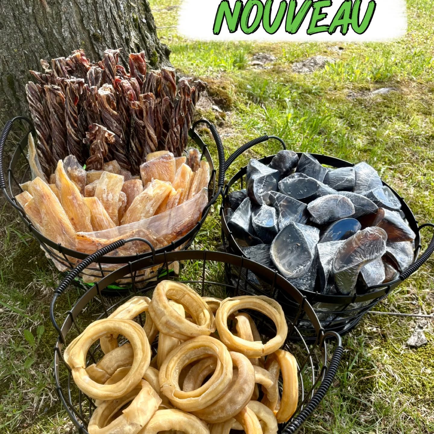 Paniers de mastications et gâteries naturelles pour chiens